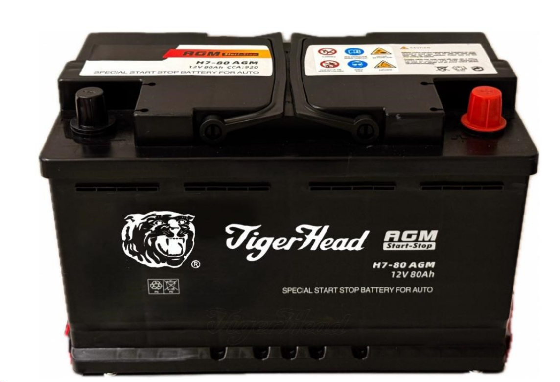 Tiger-head-h7-80-agm-start-stop-batteries